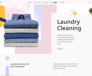 Pratic Dry cleaner Laundry Template